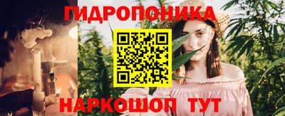 спиды Кимры